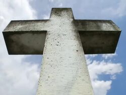 HD TIMELAPSE: After life Stock Footage