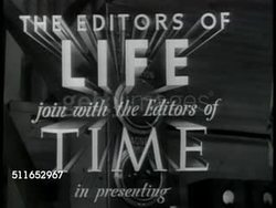 SYNOPSIS: Content Instructional Video
