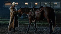 SLO MO DS Rancher spending time with his horse Stock Footage