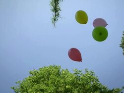 Balloons fliying in park Stock Footage