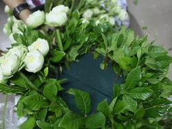 Florists Stock Footage