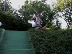 Small weathervane in nature Stock Footage