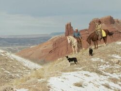 WS Cowboy and cowgirl on horseback stop riding on scenic hilltop and talk while dogs are waiting / Shell, Wyoming, United States Stock Footage