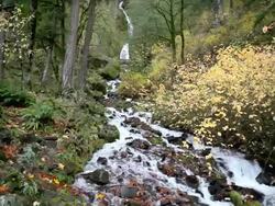 HD autumn stream Stock Footage