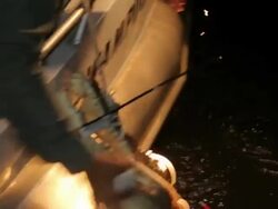 MS Men catching crocodile at night on river / Northern Territory, Australia Stock Footage