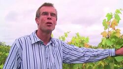 CLEAN : Can Bordeaux adapt its wines to climate change News Clip