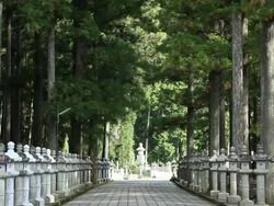MS Stone lanterns at temple entrance  / Kouya, Wakayama, Japan Stock Footage
