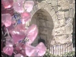 ENTERTAINMENT WEEKLY: GLASS SCULPTURES News Clip