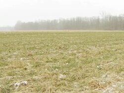 HD TIME LAPSE: Snow Covering The Field Stock Footage