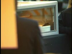 'Anaconda' Premiere Stock Footage