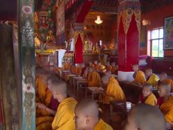 MS TD Rows of young boys praying in  Buddhist monastery  AUDIO / Kathmandu, Central Region, Nepal  Stock Footage