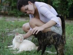 Cats and Woman Stock Footage