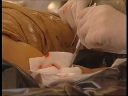 YUGOSLAVIA: KOSOVO: FBI INVESTIGATE MASSACRE SITES - UPDATE News Clip