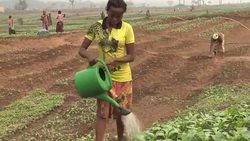 CLEAN : DRCongo's displaced tell of horrors in Kasai province News Clip