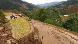 terraced rice field in Mu Chang Chai, Vietnam Stock Footage