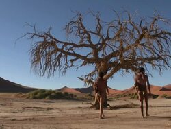 Bush people walking in namib sossus vlei Stock Footage