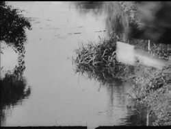 THE OTHER ""GRAND NATIONAL"" News Clip