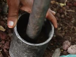 Pounding coffee grains for coffee ceremony Stock Footage