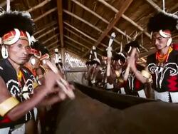 MS Shot of Naga tribal men playing log drum in Hornbill Festival, Kisama / Kohima, Nagaland, India Stock Footage