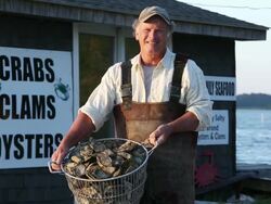 MS PAN Portrait of Smiling Waterman Holding Basket of Fresh Oysters in Front of Seafood Shack / Oyster, Virginia, USA Stock Footage