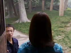 Panda boom gives new hope for its survival News Clip