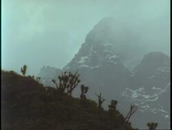 WA fog floating and cloud covering snow covered mountain, Uganda, Africa Stock Footage