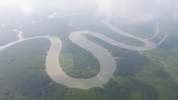 Aerial over s-shaped mangrove forest Stock Footage