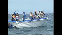 Princess Diana whale watching News Clip