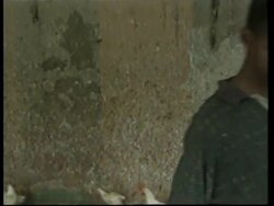 DOMINICAN REPUBLIC: HAITIAN ILLEGAL IMMIGRANTS News Clip