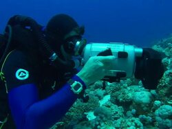 Rebreather diver holding camera filming reef and swimming over hard coral reef, Egypt, Red Sea  Stock Footage