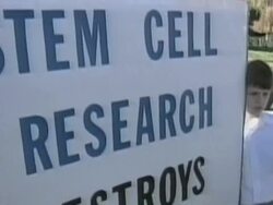 CLEAN: Obama lifts Bush ban on stem cell research News Clip
