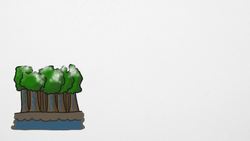 Which Came First - The Rain or the Rainforest? Instructional Video