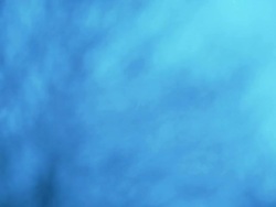 Falling Snow - HD Video Stock Footage