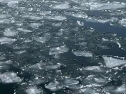 Ice floats and moves on water Stock Footage