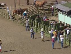 MS AERIAL Shot of Bull riders standing cebin / Montana, United States Stock Footage