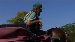 Last horse drawn postman in the land ++CLIENT REPLAY++ Instructional Video