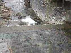 Small river in an old mining city Stock Footage