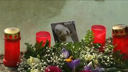 Book of condolence opened in memory of polar bear Knut News Clip