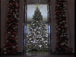 US First Lady Laura Bush has skin cancer tumour removed News Clip