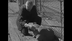 Explorer Capt. Bob Bartlett plays with baby walrus 'Peel' at the Bronx Zoo in the 1930s News Clip