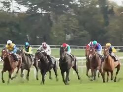 MS TS Shot of Horses gallop down home stretch / Cologne, North Rhine Westphalia, Germany  Stock Footage