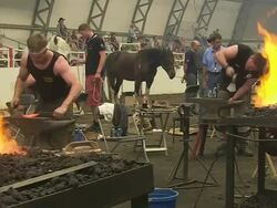 MS Shot of participators playing in blacksmith competition at Calgary Stampede / Calgary, Alberta, Canada Stock Footage