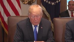 Trump Hails Passage of GOP Tax Bill News Clip