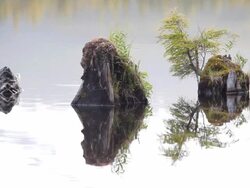rocks in lake with reflection Stock Footage
