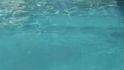 A man dives into a swimming pool making a splash. Stock Footage
