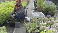 A gardener repotting a plant in a nursery Stock Footage