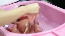 Newborn bath. Stock Footage
