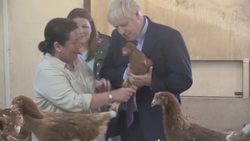 Boris Johnson clutches chicken at Shervington Farm News Clip