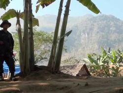 EFE News Capsules Stock Footage