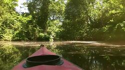 Kayaking in the Cacao Lagoon Stock Footage